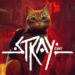 Stray